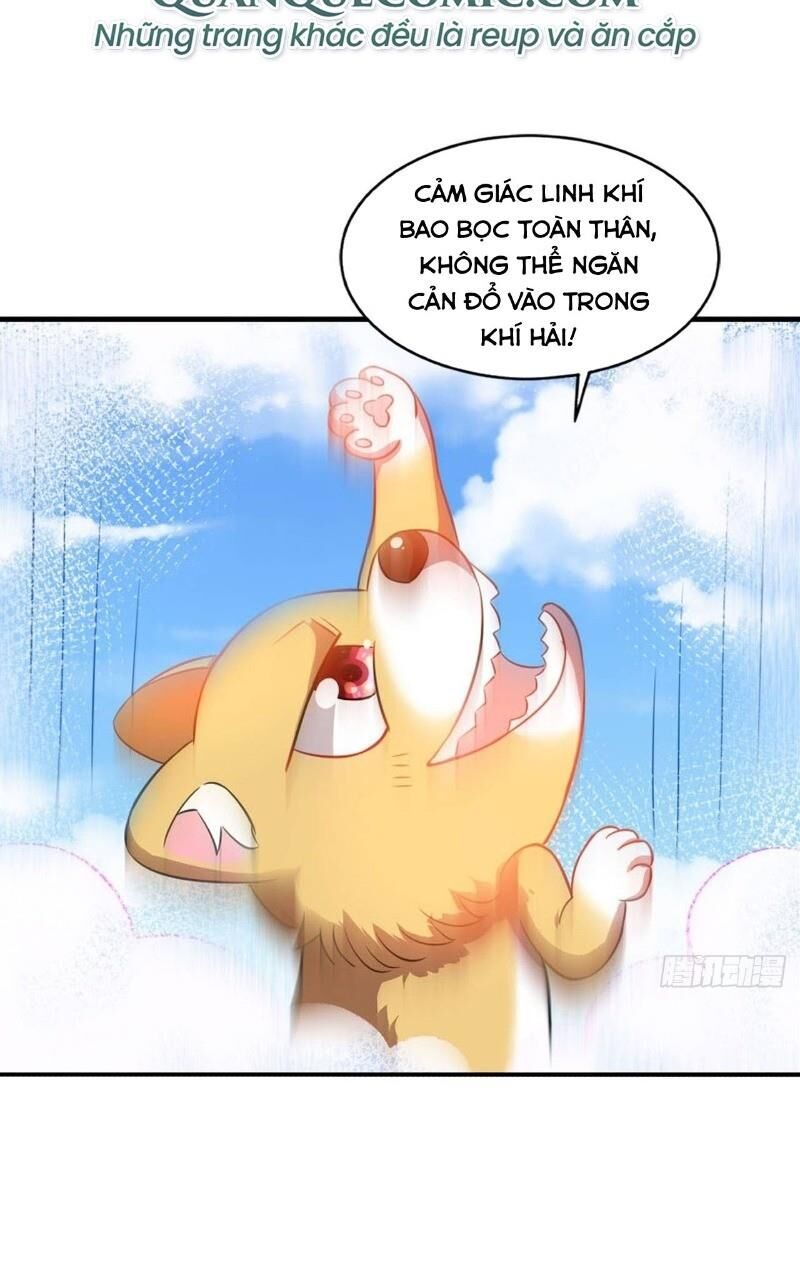 Trọng Sinh Thành Cậu Vàng Tại Dị Thế Chapter 88 - 38