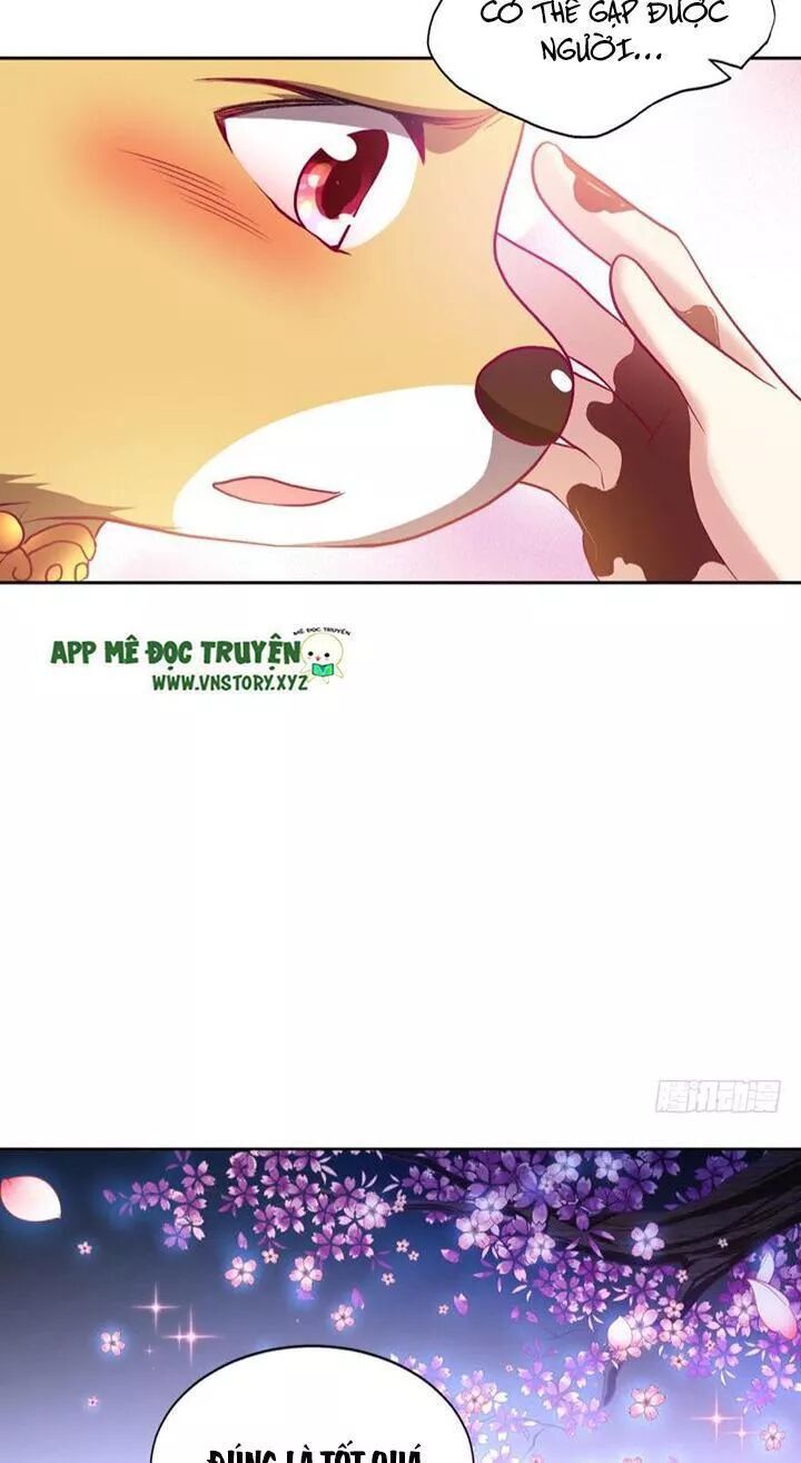 Trọng Sinh Thành Cậu Vàng Tại Dị Thế Chapter 9 - 41