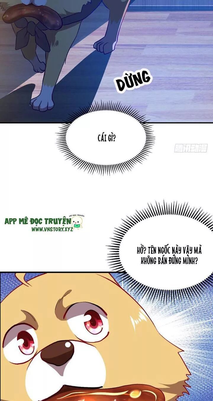 Trọng Sinh Thành Cậu Vàng Tại Dị Thế Chapter 9 - 9