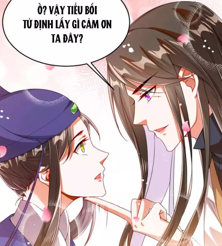 Thái Tử Điện Hạ, Nô Tài Có Hỉ Rồi Chapter 16 - 48