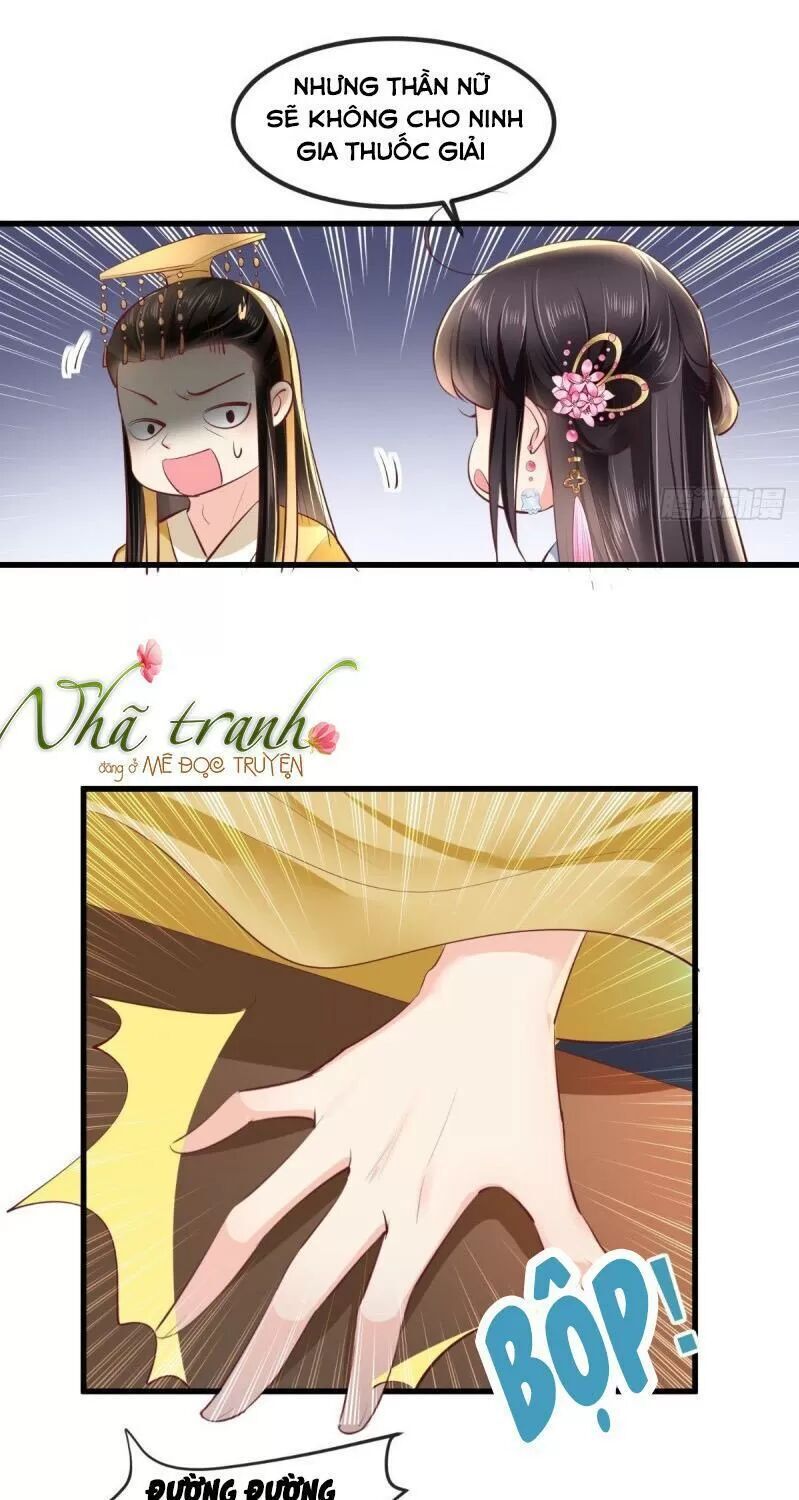 Độc Phi Ngu Ngốc Không Thể Chọc Chapter 101 - 13