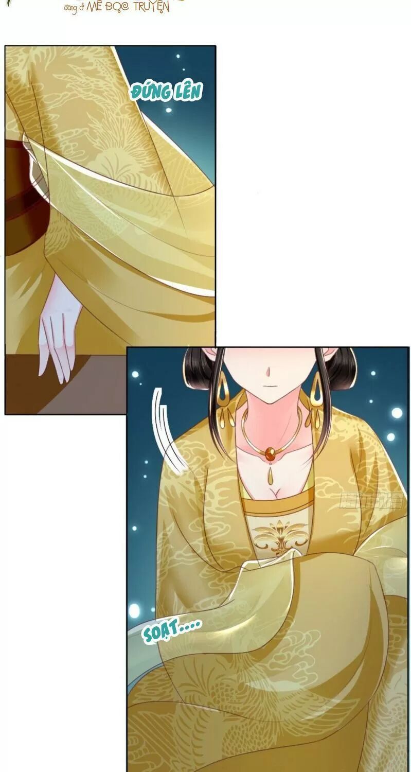 Độc Phi Ngu Ngốc Không Thể Chọc Chapter 101 - 6