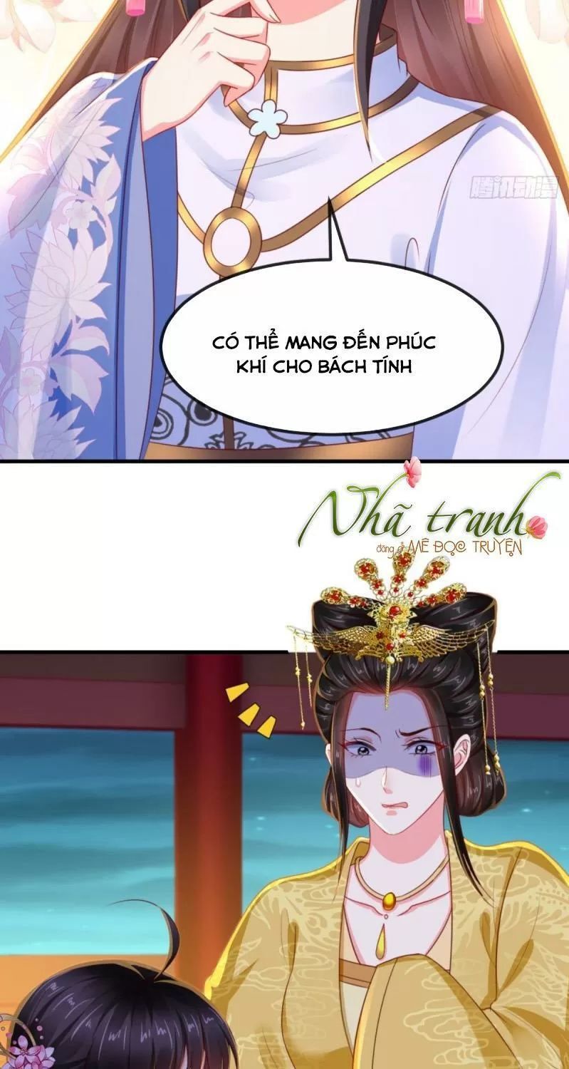 Độc Phi Ngu Ngốc Không Thể Chọc Chapter 102 - 36