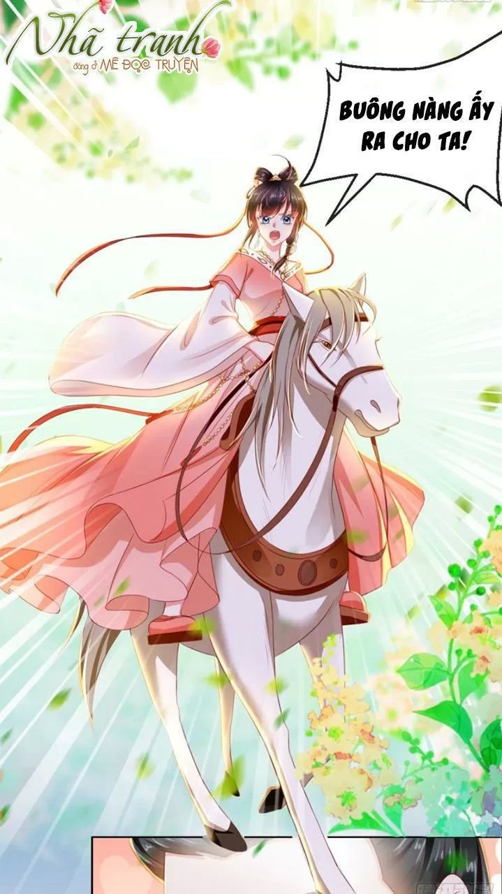 Độc Phi Ngu Ngốc Không Thể Chọc Chapter 105 - 29