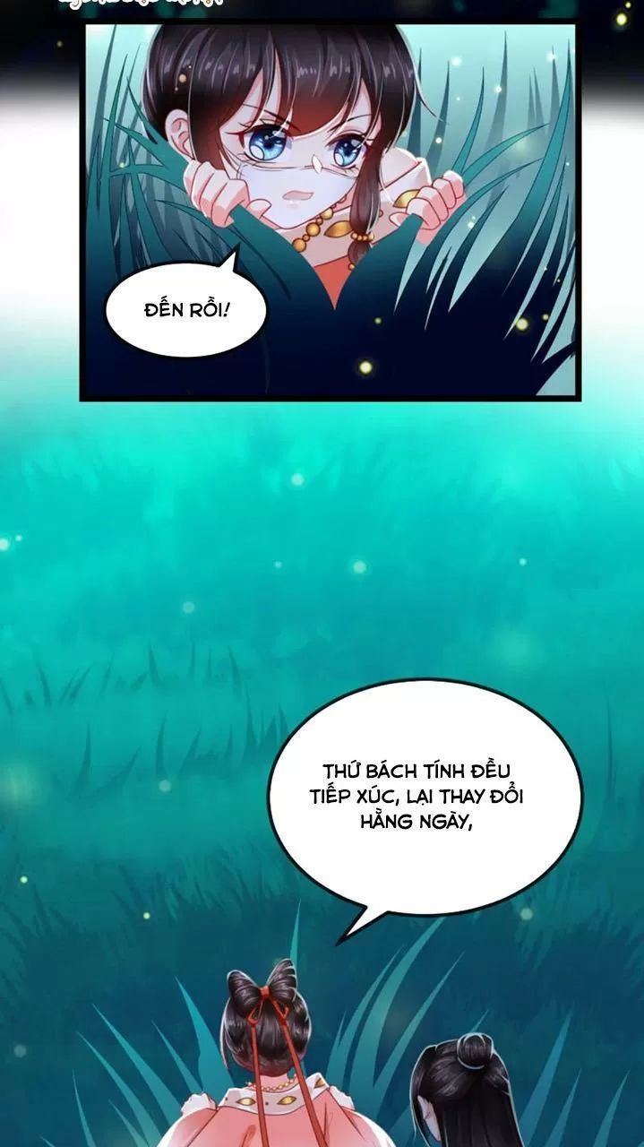 Độc Phi Ngu Ngốc Không Thể Chọc Chapter 113 - 29