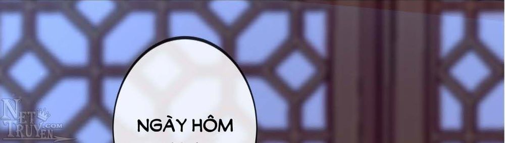 Độc Phi Ngu Ngốc Không Thể Chọc Chapter 81 - 64