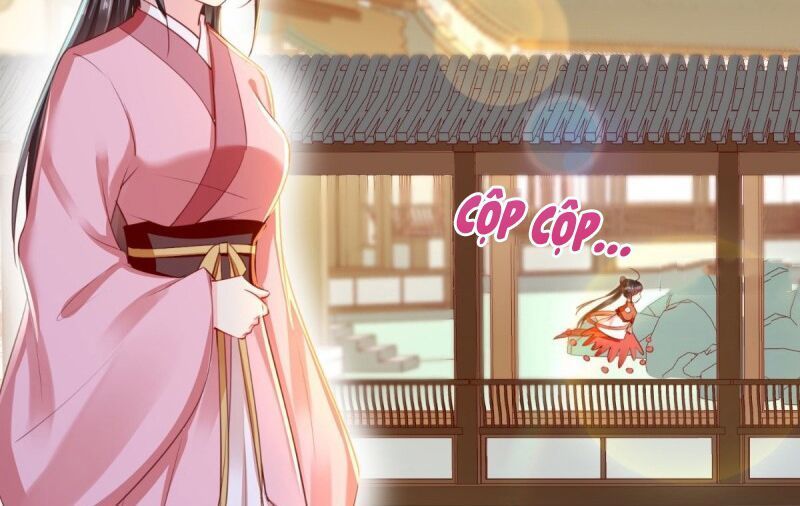 Độc Phi Ngu Ngốc Không Thể Chọc Chapter 94 - 26