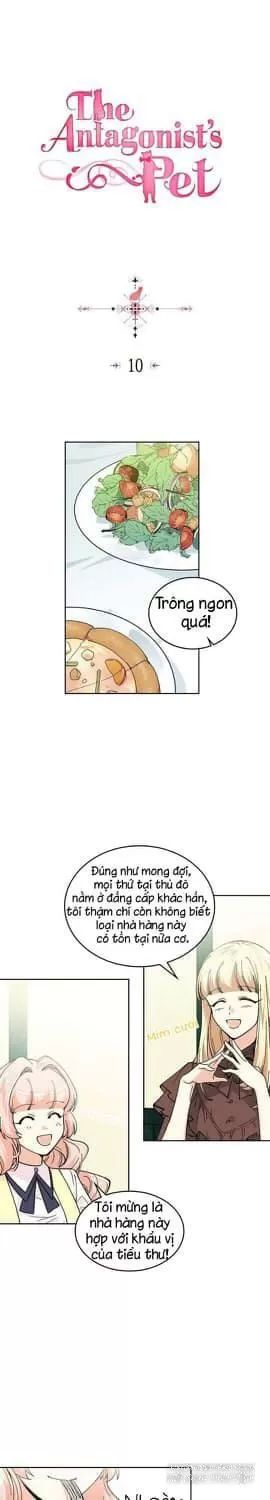 Thú Cưng Của Nữ Phụ Độc Ác Chapter 10 - 1