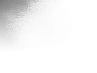 Thú Cưng Của Nữ Phụ Độc Ác Chapter 10 - 47