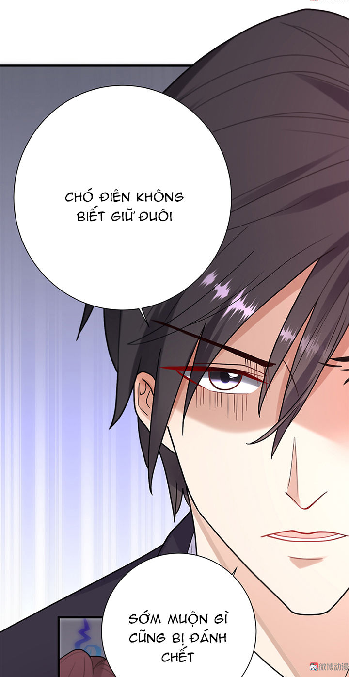 Tổng Tài Truy Thê: Phu Nhân Lại Chạy Trốn Chapter 23 - 27