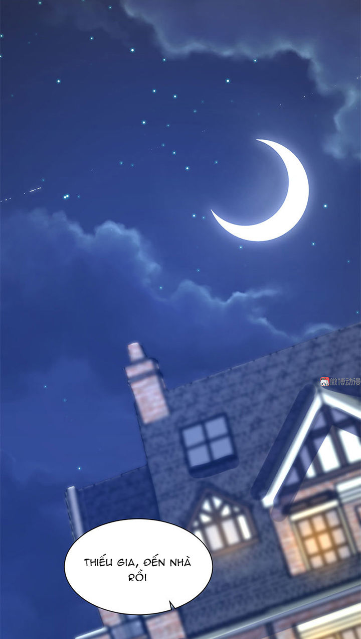 Tổng Tài Truy Thê: Phu Nhân Lại Chạy Trốn Chapter 25 - 16
