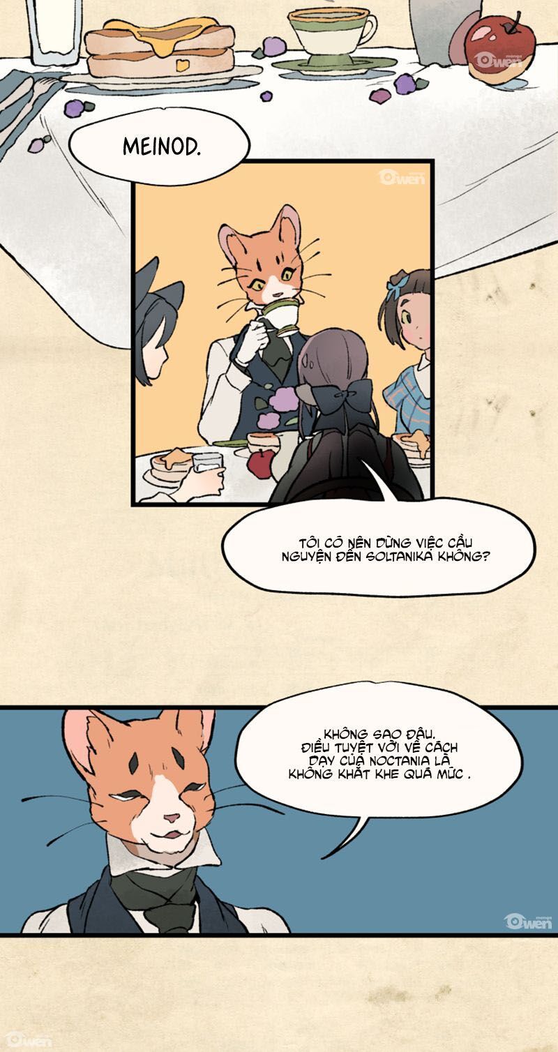 Nơi Mà Ngôi Sao Băng Rơi Xuống, Hãy Đợi Ở Đó Chapter 14 - 22