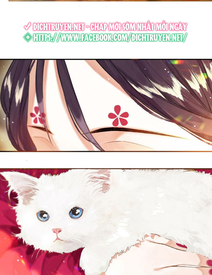 Lưu Hoa Bất Cập Xuân Chapter 19 - 10