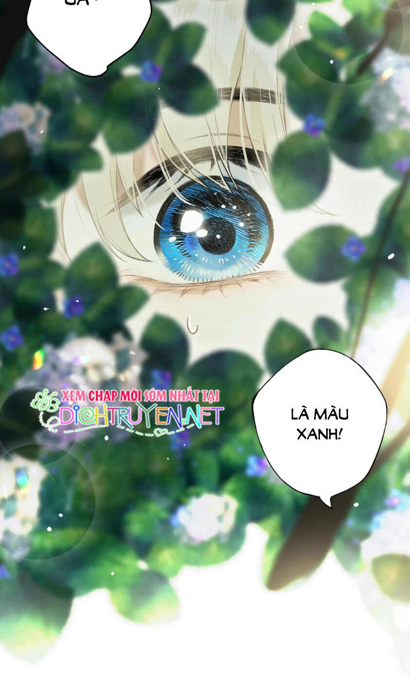 Lưu Hoa Bất Cập Xuân Chapter 22.5 - 11