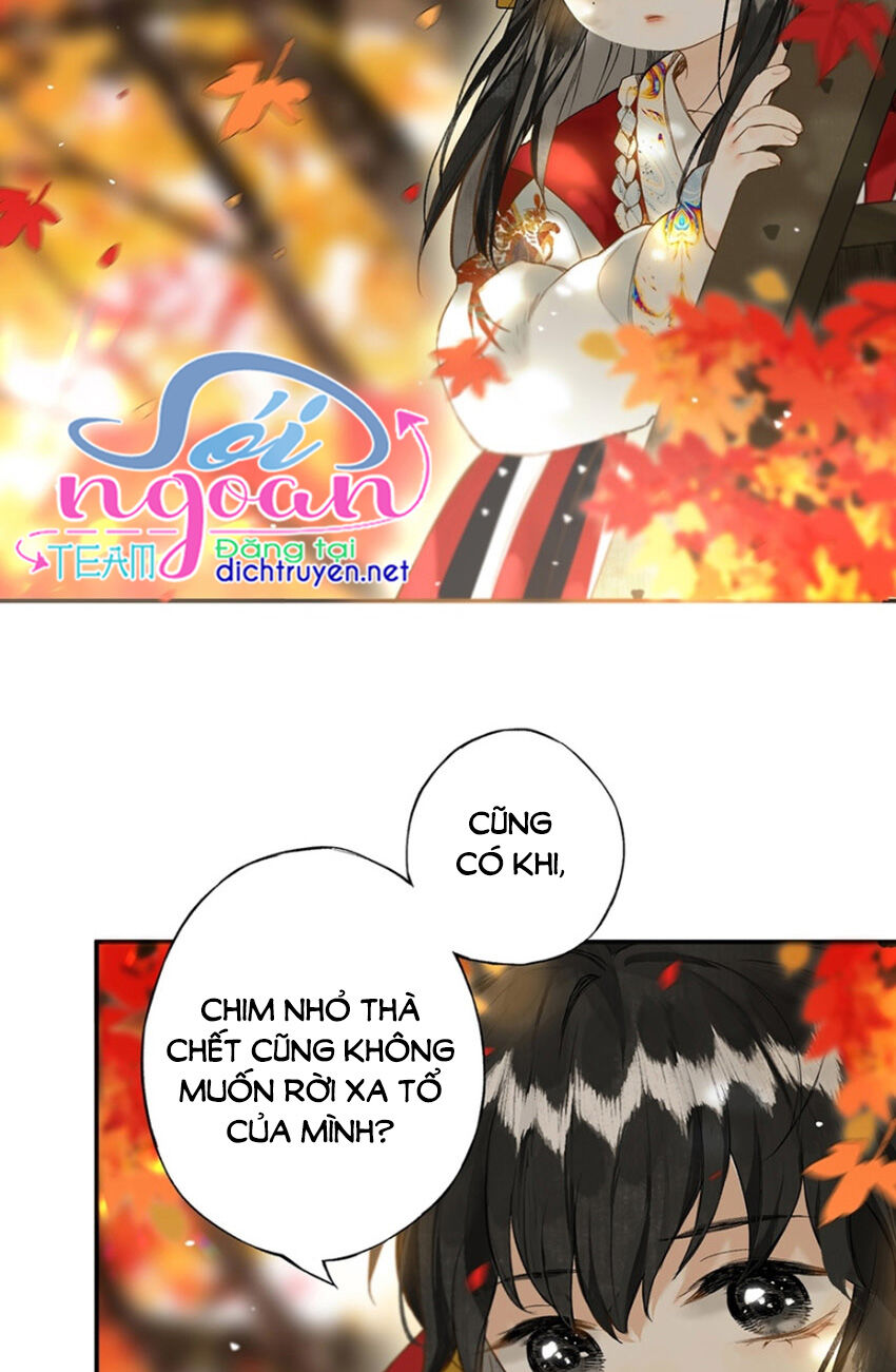 Lưu Hoa Bất Cập Xuân Chapter 22 - 11