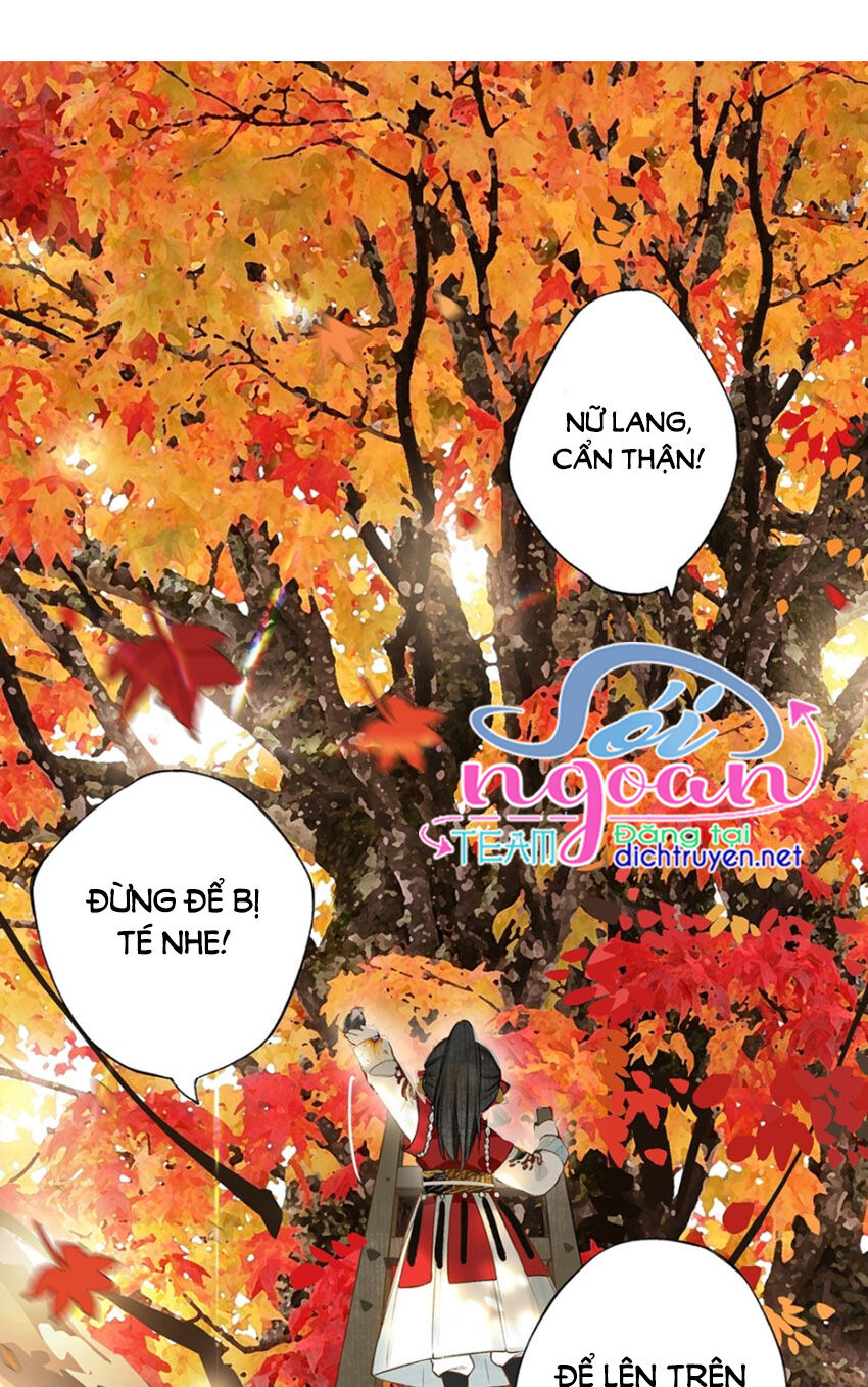 Lưu Hoa Bất Cập Xuân Chapter 22 - 5