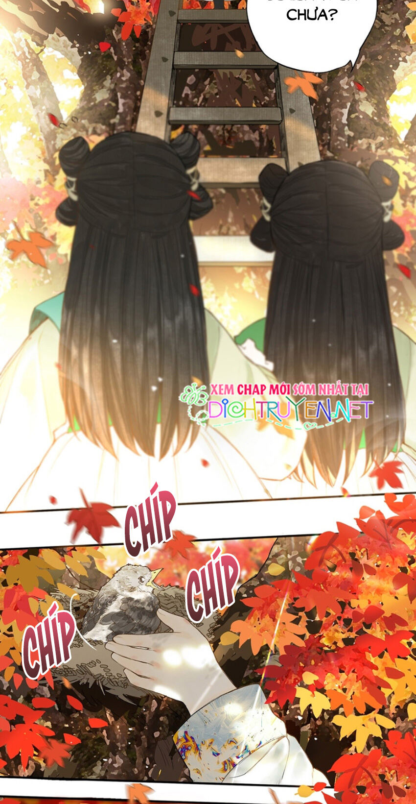 Lưu Hoa Bất Cập Xuân Chapter 22 - 6