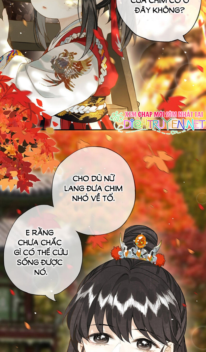 Lưu Hoa Bất Cập Xuân Chapter 22 - 8