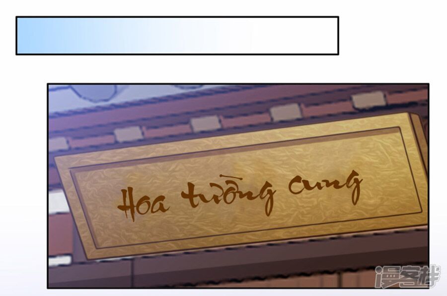 Phượng Hoàng Thác: Chuyên Sủng Khí Thê Chapter 14 - 12