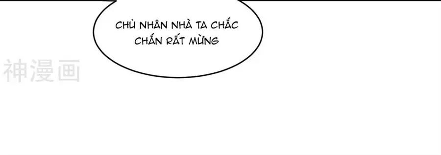 Phượng Hoàng Thác: Chuyên Sủng Khí Thê Chapter 18 - 29