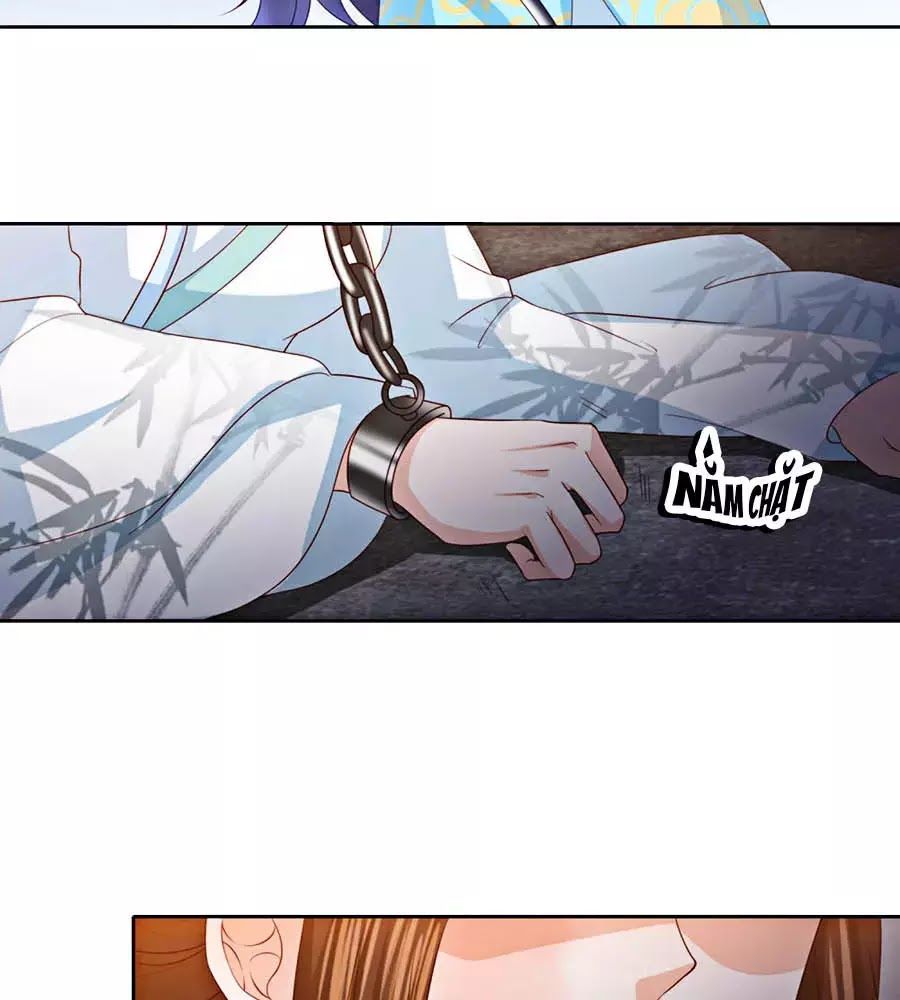 Phượng Hoàng Thác: Chuyên Sủng Khí Thê Chapter 20 - 17