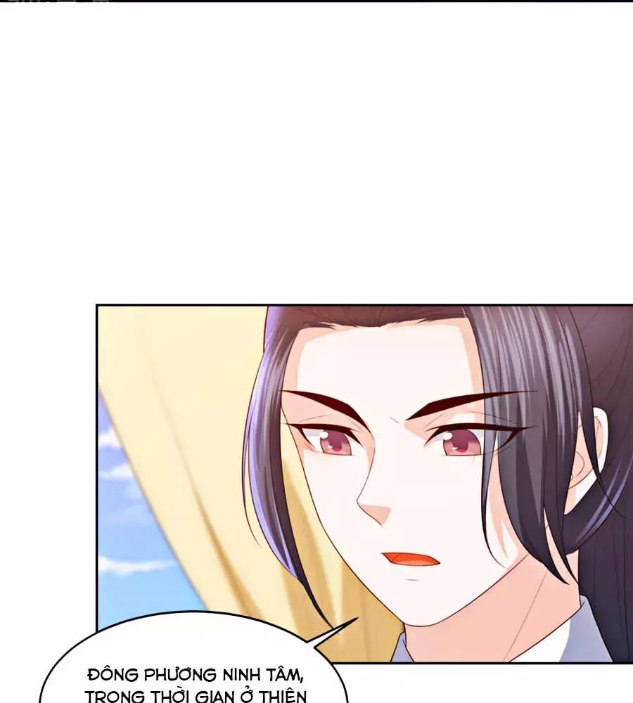 Phượng Hoàng Thác: Chuyên Sủng Khí Thê Chapter 21 - 29
