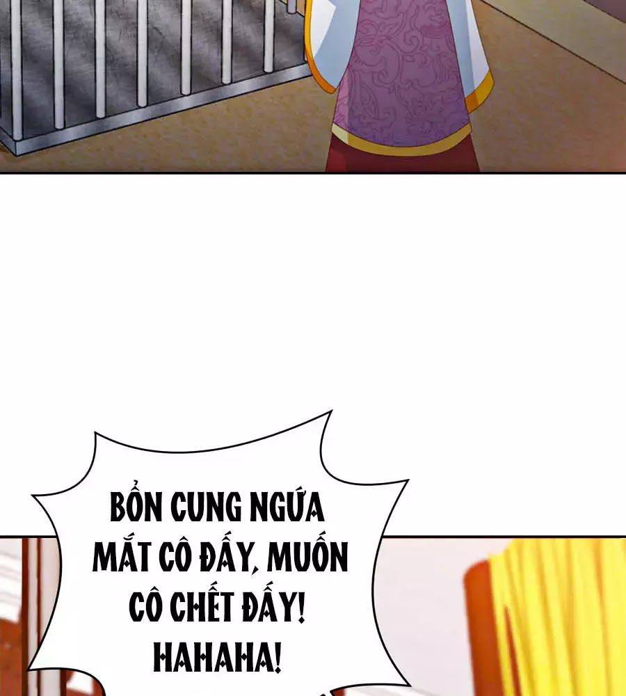 Phượng Hoàng Thác: Chuyên Sủng Khí Thê Chapter 24 - 31
