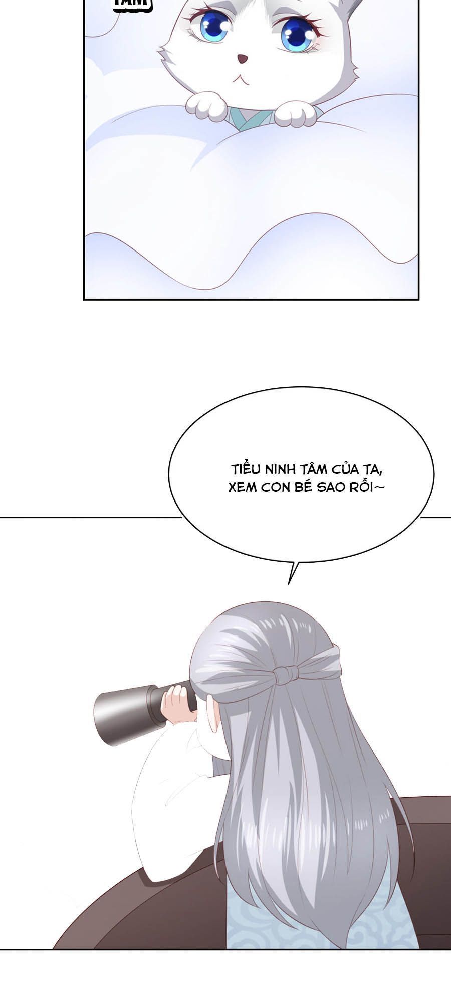 Phượng Hoàng Thác: Chuyên Sủng Khí Thê Chapter 27.5 - 13