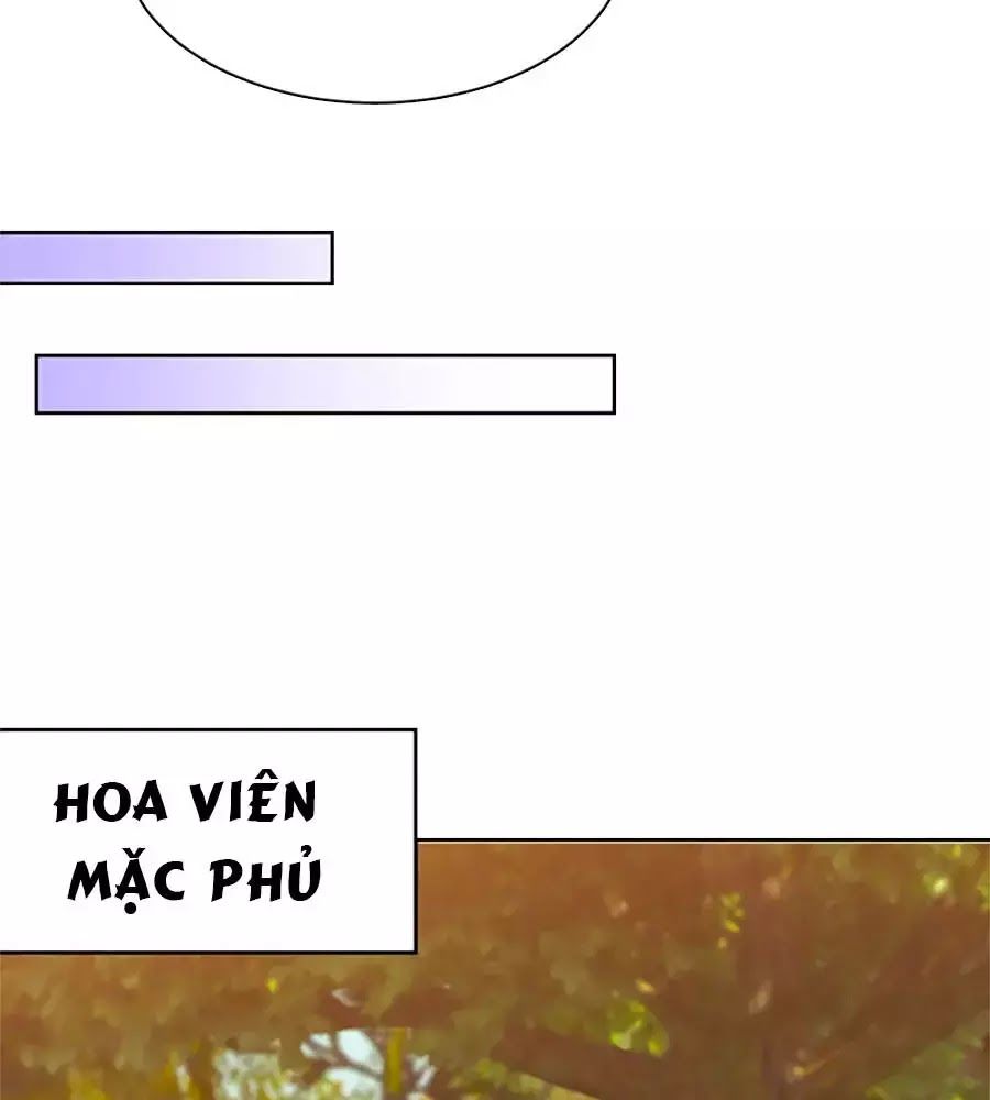 Phượng Hoàng Thác: Chuyên Sủng Khí Thê Chapter 28 - 40