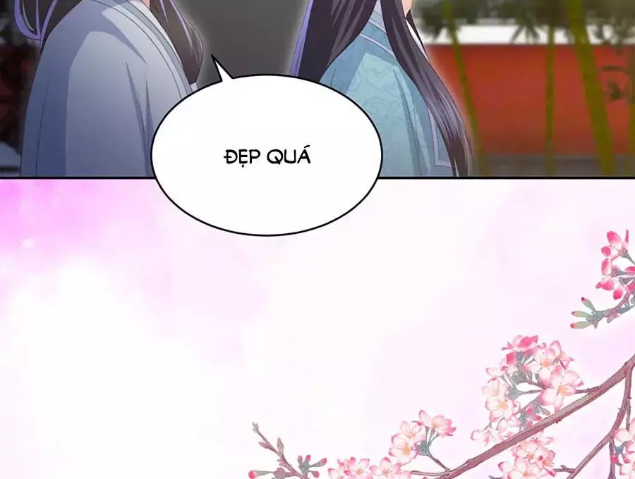 Phượng Hoàng Thác: Chuyên Sủng Khí Thê Chapter 29 - 38