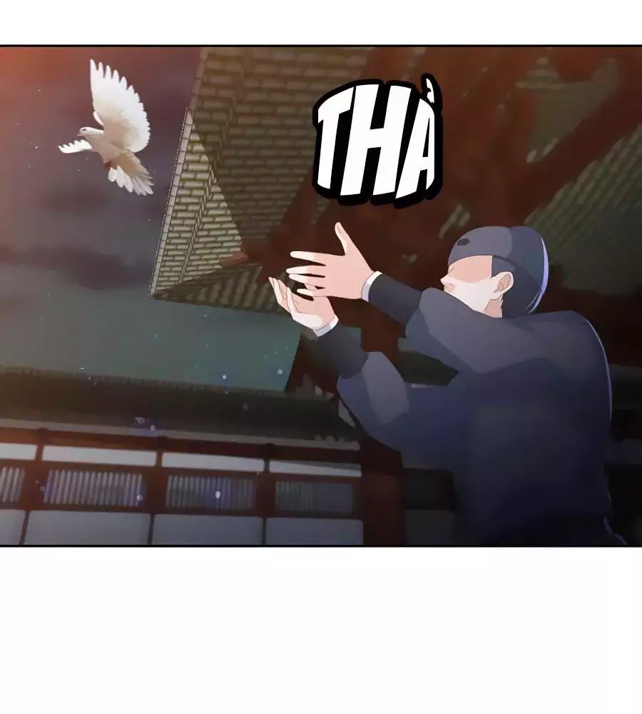 Phượng Hoàng Thác: Chuyên Sủng Khí Thê Chapter 31 - 45