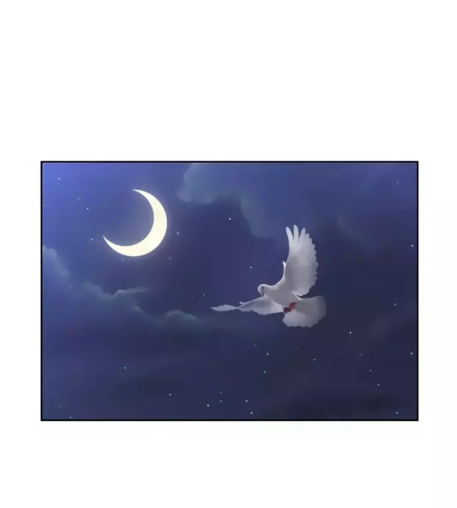 Phượng Hoàng Thác: Chuyên Sủng Khí Thê Chapter 31 - 47