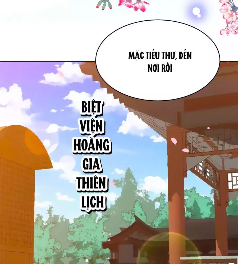 Phượng Hoàng Thác: Chuyên Sủng Khí Thê Chapter 33 - 28