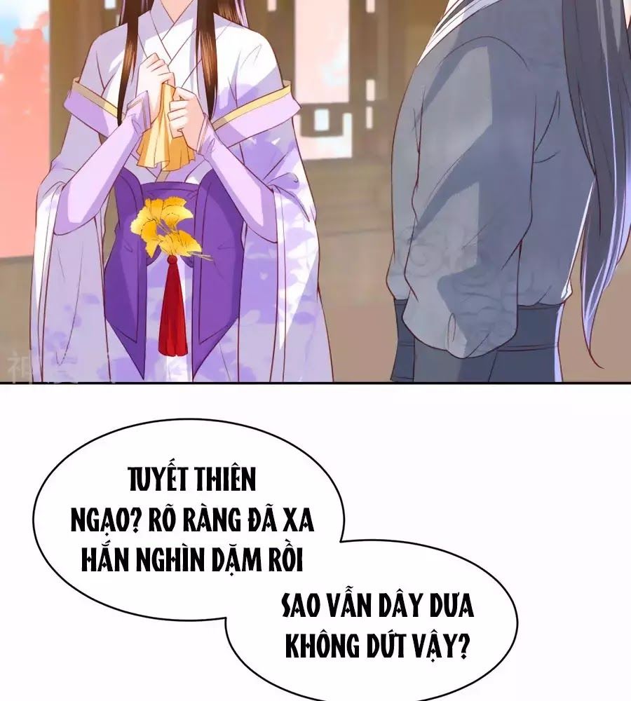 Phượng Hoàng Thác: Chuyên Sủng Khí Thê Chapter 35 - 42