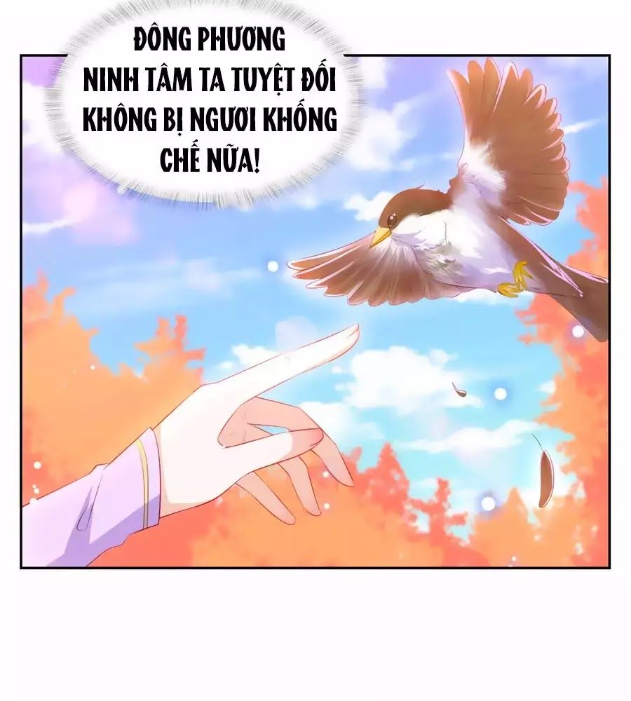 Phượng Hoàng Thác: Chuyên Sủng Khí Thê Chapter 35 - 49