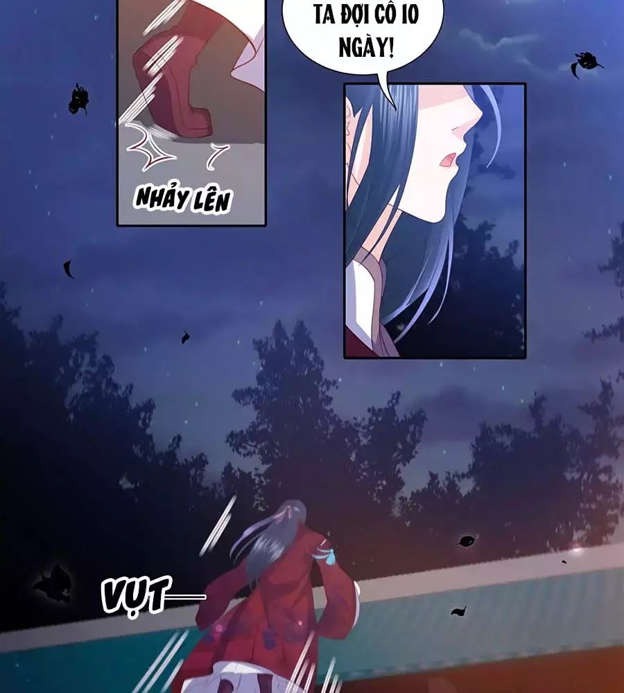 Phượng Hoàng Thác: Chuyên Sủng Khí Thê Chapter 36 - 36