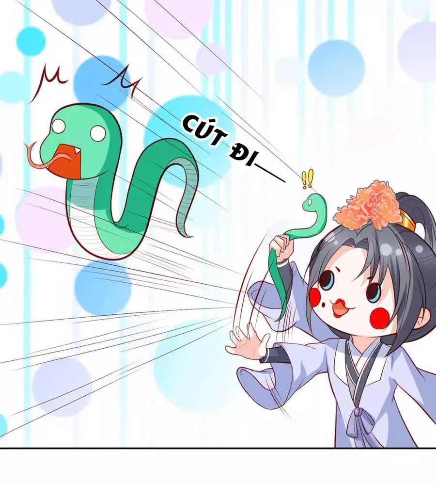 Phượng Hoàng Thác: Chuyên Sủng Khí Thê Chapter 39 - 19