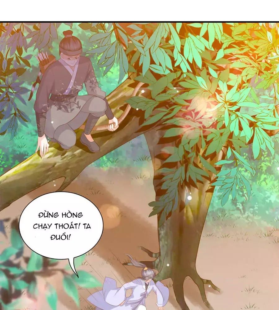 Phượng Hoàng Thác: Chuyên Sủng Khí Thê Chapter 39 - 24