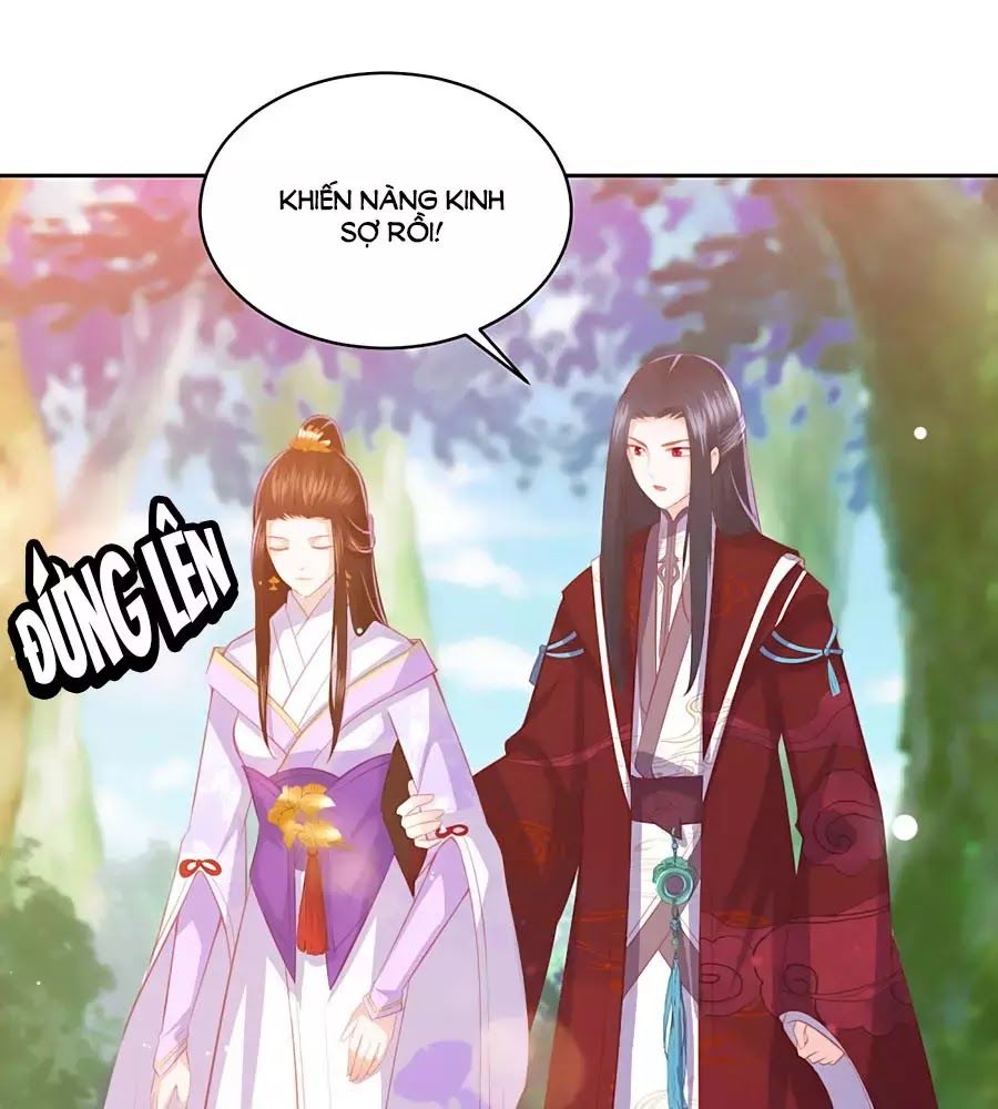 Phượng Hoàng Thác: Chuyên Sủng Khí Thê Chapter 40 - 1