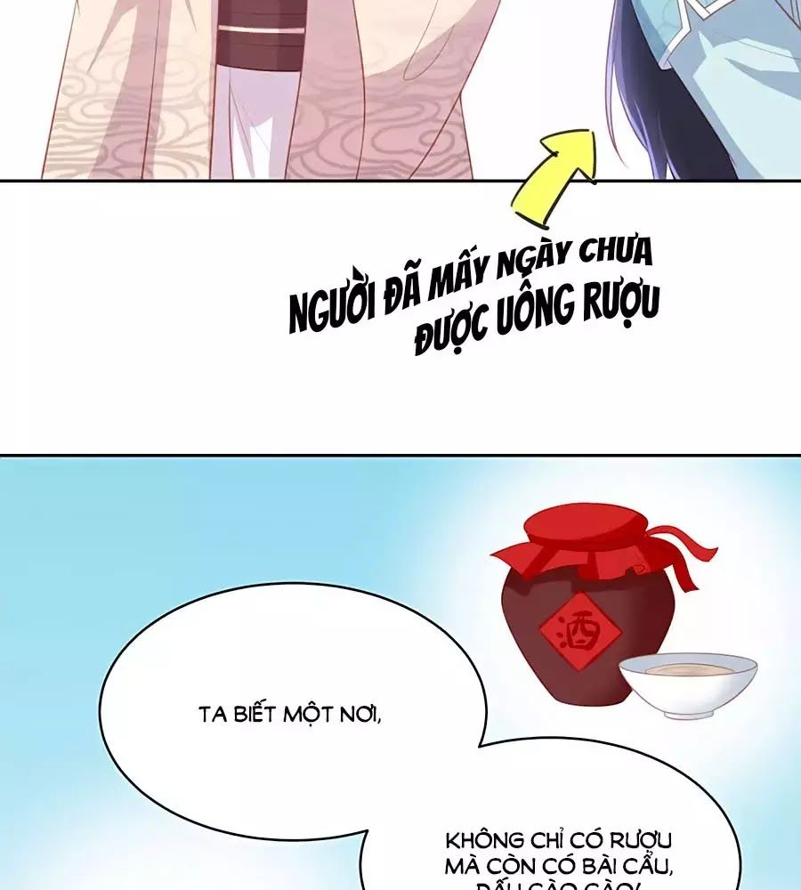 Phượng Hoàng Thác: Chuyên Sủng Khí Thê Chapter 40 - 52