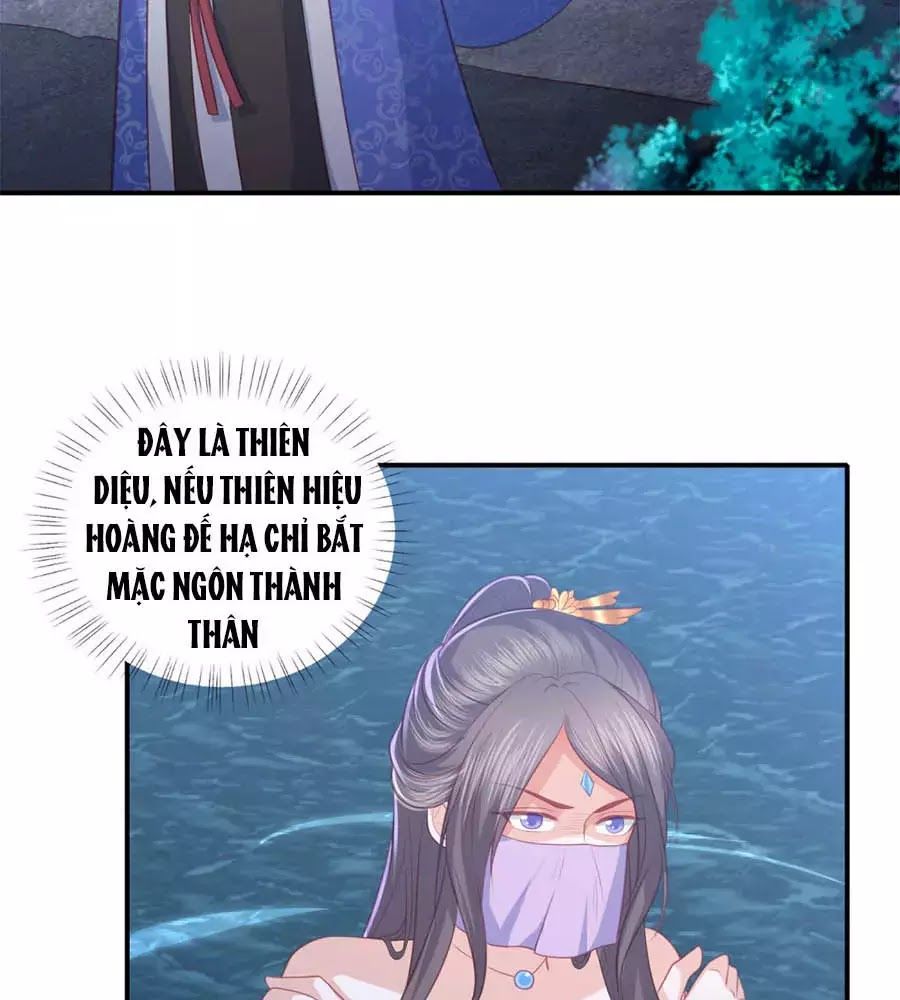 Phượng Hoàng Thác: Chuyên Sủng Khí Thê Chapter 41 - 13