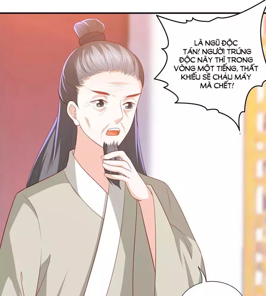 Phượng Hoàng Thác: Chuyên Sủng Khí Thê Chapter 43 - 16