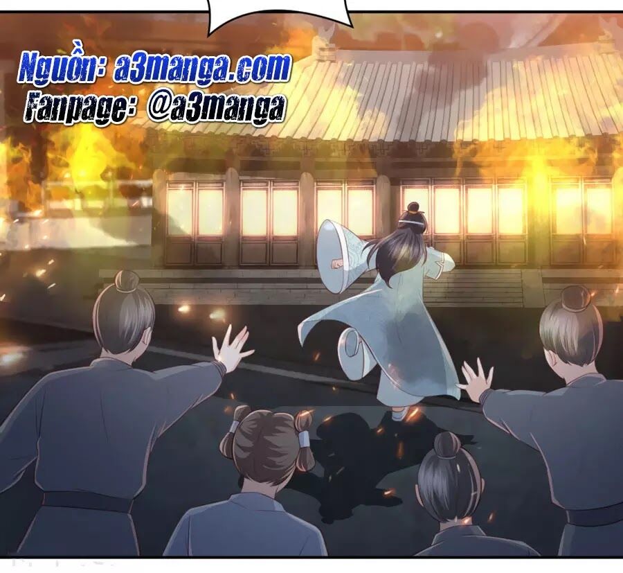 Phượng Hoàng Thác: Chuyên Sủng Khí Thê Chapter 49 - 3