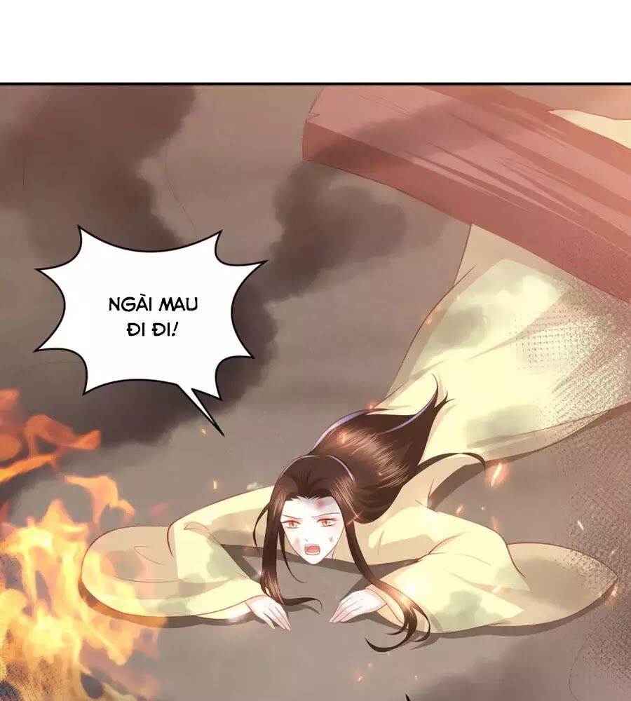 Phượng Hoàng Thác: Chuyên Sủng Khí Thê Chapter 49 - 6