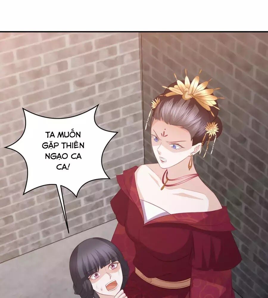 Phượng Hoàng Thác: Chuyên Sủng Khí Thê Chapter 49 - 51
