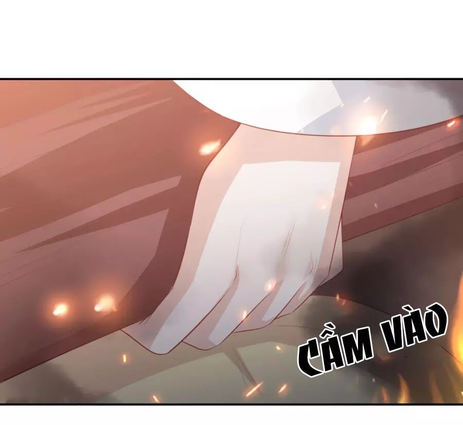 Phượng Hoàng Thác: Chuyên Sủng Khí Thê Chapter 49 - 8