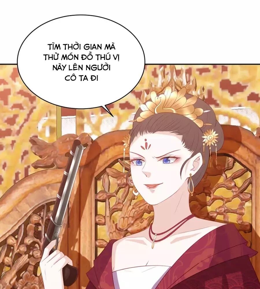 Phượng Hoàng Thác: Chuyên Sủng Khí Thê Chapter 49 - 71