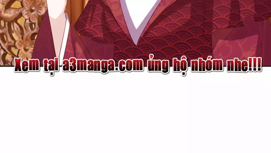 Phượng Hoàng Thác: Chuyên Sủng Khí Thê Chapter 49 - 72