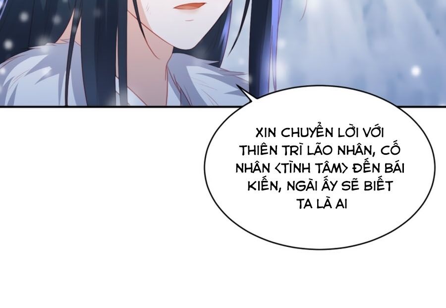 Phượng Hoàng Thác: Chuyên Sủng Khí Thê Chapter 55 - 28