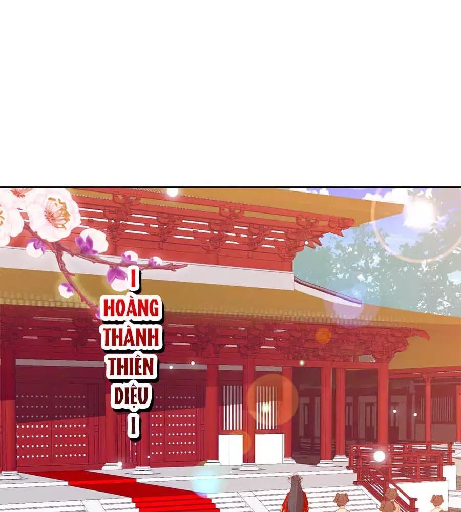 Phượng Hoàng Thác: Chuyên Sủng Khí Thê Chapter 42 - 1
